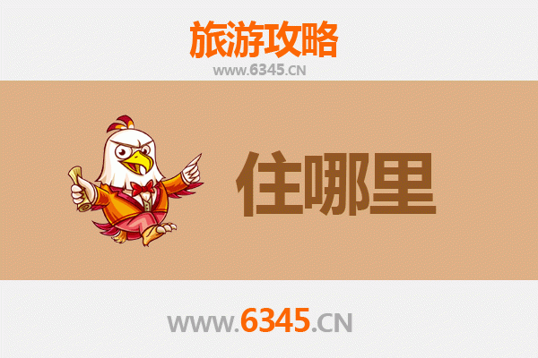 陵水椰林镇旅游民宿全攻略：沉浸式体验热带风情与黎族文化