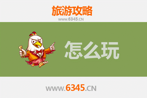 陵水椰林镇假日游玩全攻略：热带风情与黎族文化的完美融合